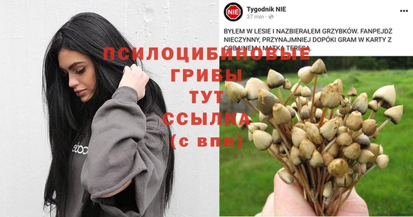 прущий лед Семёнов